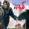 Gilaneh-Cover