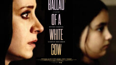 ballad a whitecow copy